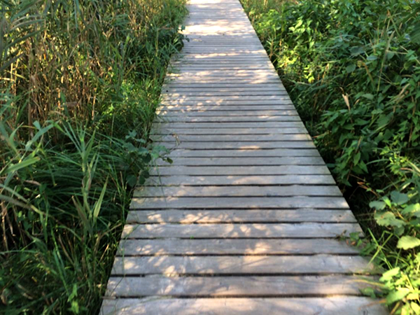 auf-dem-holzweg