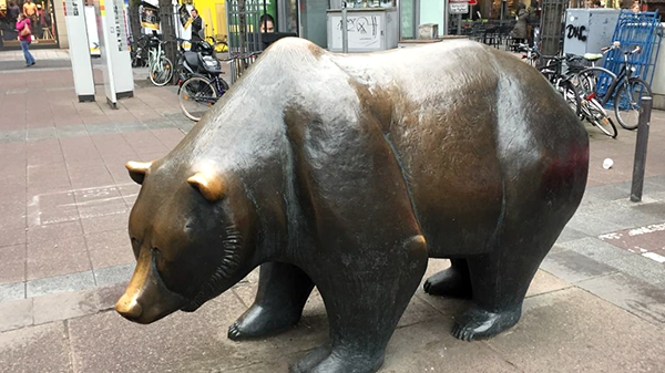 der-baer-in-lauerstellung