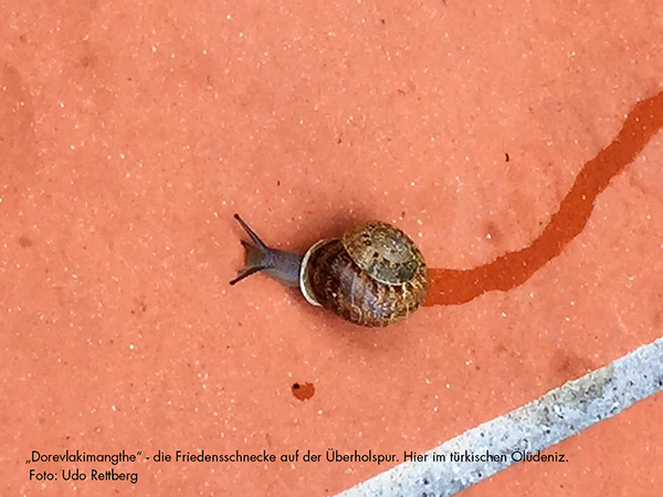 friedensschnecke